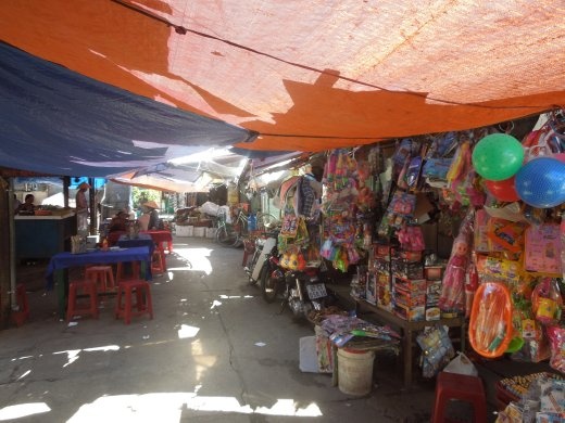 Exploring the market in Hoi An