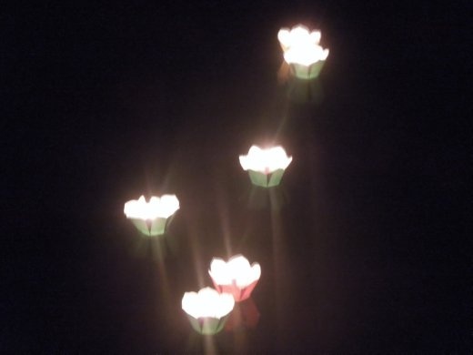The lanterns are shaped like lotus blossoms