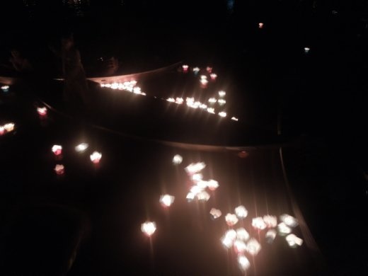 People rowed their boats through the floating lanterns