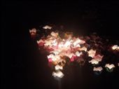 Traffic jam! Bunch of lanterns catch on fire!: by sglass, Views[188]