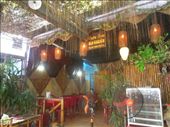 One of our favorite lunch places in Hoi An-- cheap, shady, and delicious!: by sglass, Views[164]