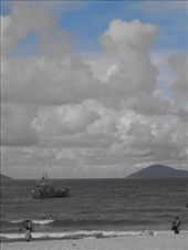 by sglass, Views[142]