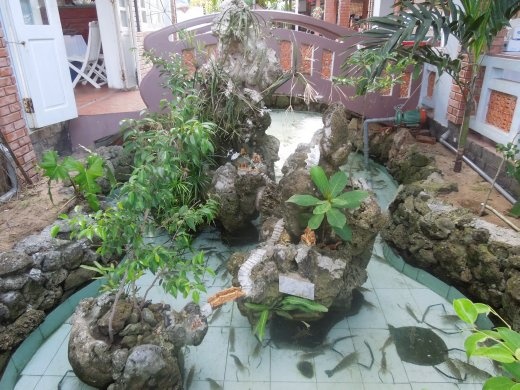 They had a whole little 'environment' for their fresh seafood