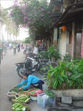 by sglass, Views[167]