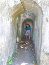 by sglass, Views[247]