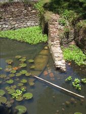 by sglass, Views[109]