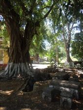 by sglass, Views[117]