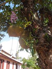 by sglass, Views[354]