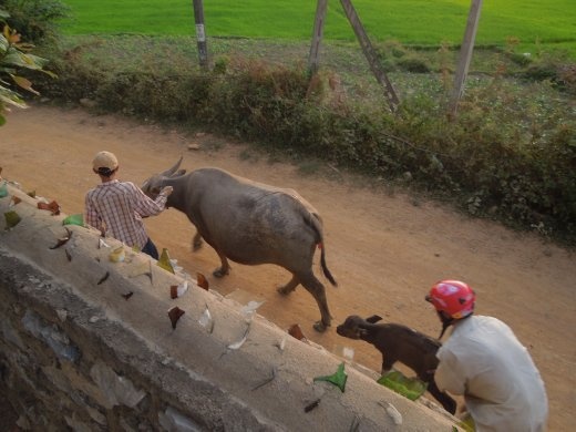 Headed home for the night