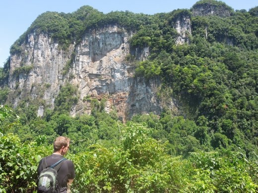 This is the scenery through which the Viet Cong blazed their secret supply routes southward