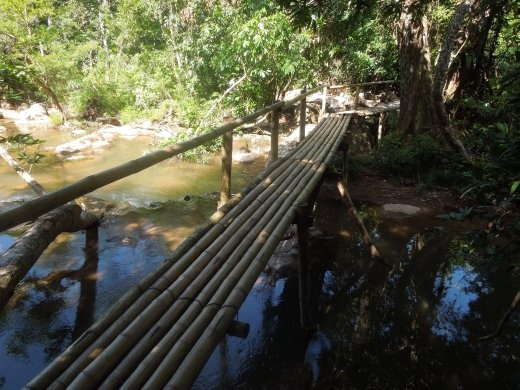 After Paradise Cave & a delicious group lunch, our guides take us to a particular swimming spot in the park, accessible via a short hike across bridges like this one along the Nouc Mooc Eco Trail