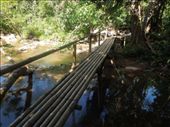 After Paradise Cave & a delicious group lunch, our guides take us to a particular swimming spot in the park, accessible via a short hike across bridges like this one along the Nouc Mooc Eco Trail: by sglass, Views[184]