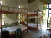Our dorm beds at the Farmstay- no A/C but still cozy: by sglass, Views[149]