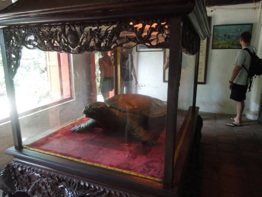 Some Vietnamese believe that this turtle, and the one still alive today, were/are thousands of years old. Scientists think they age closer to 100 years