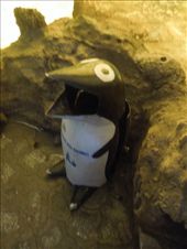 by sglass, Views[206]