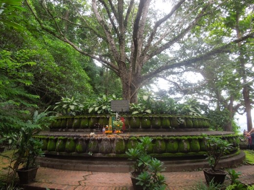 Peaceful spot to rest on the climb up the mountain