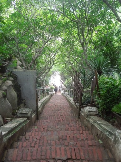 View back down... just getting started!