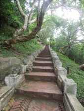 More stairs: by sglass, Views[320]