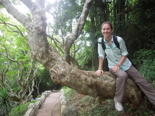 Tree picture! Shout-out to Marianne Epstein... this is for her!