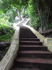 Very pretty staircase: by sglass, Views[448]