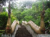 Decorated stairway: by sglass, Views[302]
