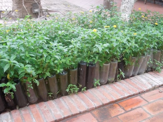 Stopping for coffee at a little French cafe... I like the way they've used these bottles