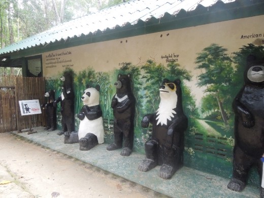 Lovely size comparison of the world's bears