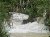 Wet season! Gushing mini-waterfalls leading up the trail to Kuang Si: by sglass, Views[243]