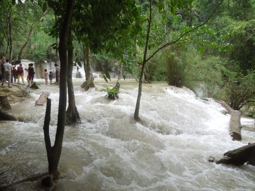 Everyone's waiting their turn in line for a rope swing to fly out into the pools for a swim!