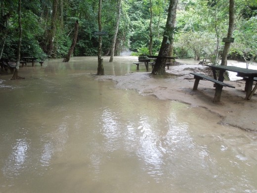 We are guessing that during the dry season this picnic area is not quite so...wet.