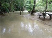 We are guessing that during the dry season this picnic area is not quite so...wet.: by sglass, Views[177]