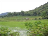 Rice paddies in fertile Laos: by sglass, Views[145]