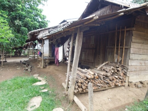 We stop at our first 'traditional' hill tribe village. Except this was on the main road and did not seem very traditional at all.
