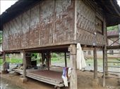 Another type of hill tribe house-- this one is up on stilts (not 2 stories like the earlier one) and a little more similar to the Hmong houses (coming up...): by sglass, Views[197]