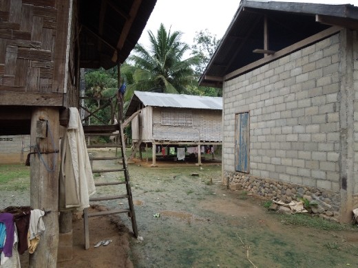 Different tribal houses in the village