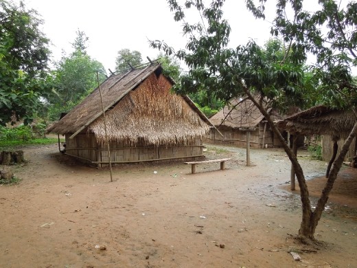 Sigh... even in the middle of the jungle in Laos we cannot escape technology. Satellite TV anyone?