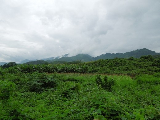 Hiking through the fertile landscape of Laos