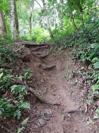 One of the least muddy stretches of our trek ;-)