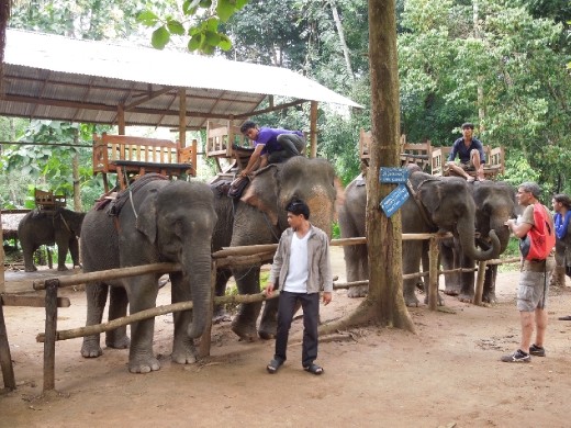 At the Tad-Se Waterfall Park! Elephants! yay!