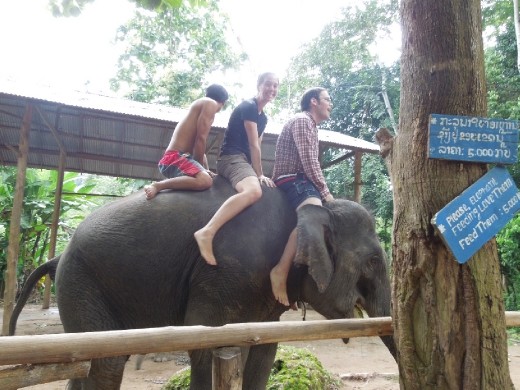 On our elephant! Sam (Joe's brother) in front and Sarah in the back! This is high up!