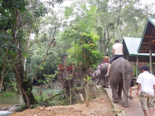 Seriously, riding bare-back on these things was terrifying and we all thought we were going to fall off.