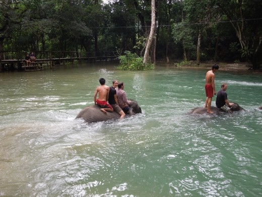 Time for an elephant bath!