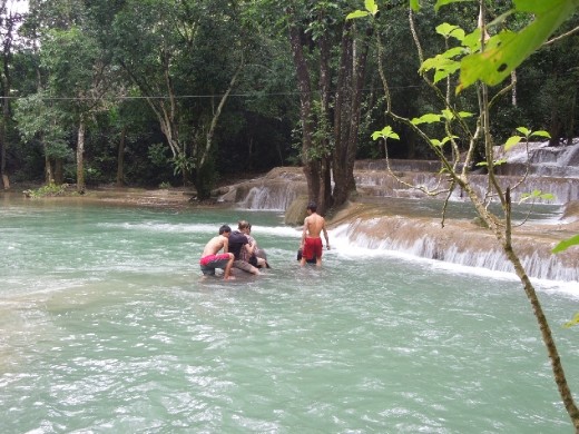 Where did our elephants go!?! Oh right... they have trunks and can dive way down underwater.