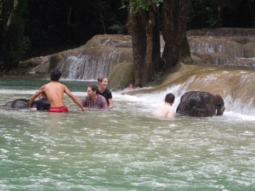 Where is our elephant!?