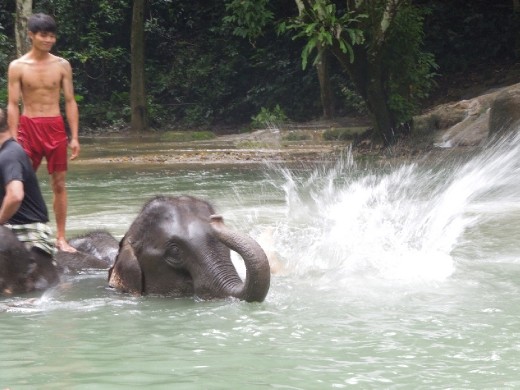 Another jump off the elephant!