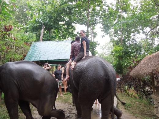 Too good to be true... we eventually have to come back to dry land and get off.