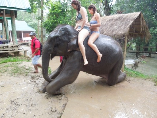 Next girls' turn! Can I keep this one? Look how awesome he (she?) is!