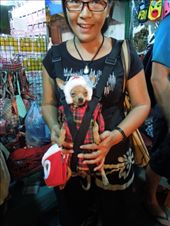 Adorbs: by sglass, Views[231]