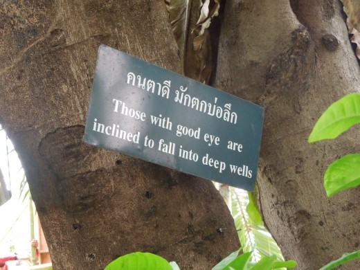 The trees around the temples had these little sayings in them... to make you stop & think