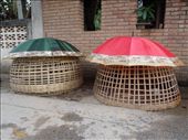 Chicken pens like this were everywhere but these were the only ones we saw with umbrellas to protect them from rain!: by sglass, Views[253]